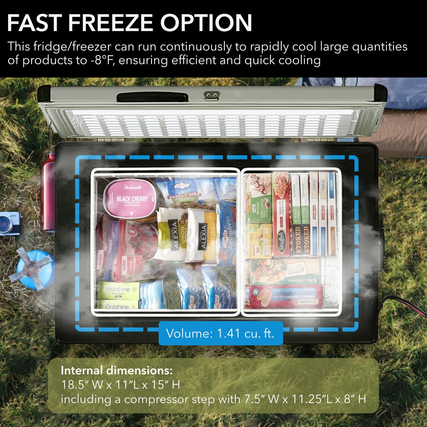 Whynter FM-45G 45 Qt Portable Fridge/Freezer – AC/DC, Travel Ready